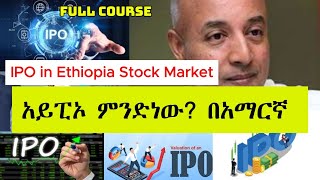 አይፒኦ ምንድንዉ እንዴት ነዉ የሚሰራዉ  What Does it mean IPO and How it Works in Stock Market [upl. by Nisay]