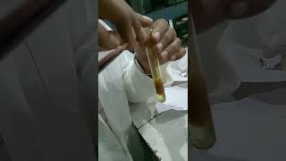 MScChemistry practical of organic chemistry 🧪🧪chemical labworkyoutubeshorts [upl. by Garnette104]