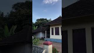 Tharavadu subscribemychannel youtubeshorts amaran kottayam kerala [upl. by Vinny]