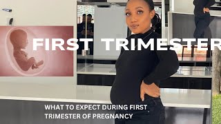 Pregnancy First Trimester what to expect during first trimester of pregnancy [upl. by Ximena]