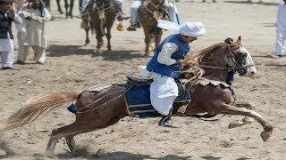 top best horse riders  horse riding skills  horse riding information  tent pegging 2017 [upl. by Annawik473]