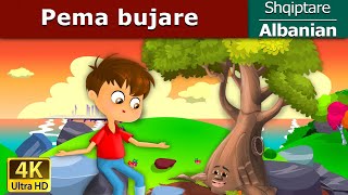 Pema bujare  Giving Tree in Albanian  AlbanianFairyTales [upl. by Fonseca]