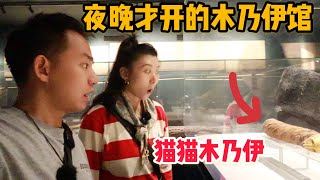 L235集：卢克索夜晚才开的木乃伊馆，还有酱板鸭木乃伊？卢克索城市暴走一天 [upl. by Nelrsa844]