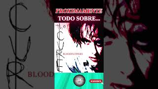 TODO SOBRE BLOODFLOWERS de The Cure [upl. by Idieh]