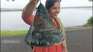 വലനിറയെ കരിമീൻ fishhunting karimeenfishing kadalkomban fishtrap fishingfreaks kadalmacha [upl. by Penni680]