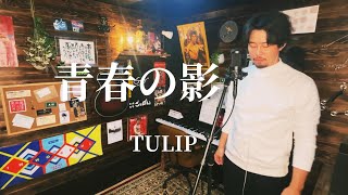 青春の影／TULIP 歌ってみた [upl. by Herzog139]