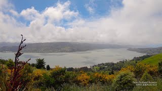 4K Dunedin Otago Peninsula NEW ZEALAND ニュージーランド 紐西蘭 Part 66 [upl. by Nnasor]