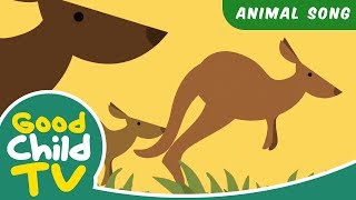 Kids Song  Jump Like A Kangaroo  Animal Songs [upl. by Aicercal]