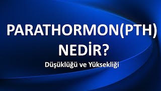 PARATHORMON NEDİR [upl. by Yasnil]