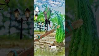 Creative photography idias 😍😍amazing creative photography video funny love youtubeshorts [upl. by Iloj]