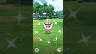 All Shiny✨ eevee evolutionpokemonpokemongoevolutioneeveeshinyzoruashortspOkegIrLyt [upl. by Ylyl]