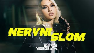 ĐIA  NERVNI SLOM OFFICIAL VIDEO [upl. by Noxas]