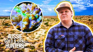 The Young Guns Mine 20000 Of RARE Pineapple Opal  Outback Opal Hunters [upl. by Aimee436]