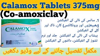 Calamox Tablets 375mg uses in Urdu hindbenefits and side effectsCOAMOXICLAV How to use calamox [upl. by Camarata]