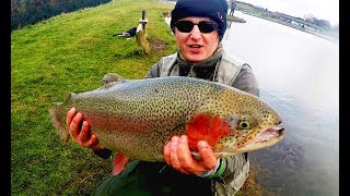 Rainbow trout fishing 13lb on snake fly 65kg [upl. by Rudolf294]