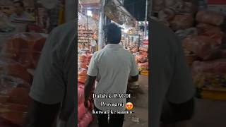 Dulah ki pagdi😍 prayagrajblogger dulaha shaadi sherwani vlogger vlog prayagraj [upl. by Hopper701]