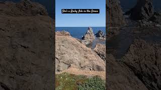 Twillingate Island newfoundland Canada hiking ocean nature [upl. by Ahsenik]