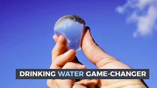 EDIBLE WATER BLOBS ALL YOU EVER WANTED TO KNOW [upl. by Loesceke]