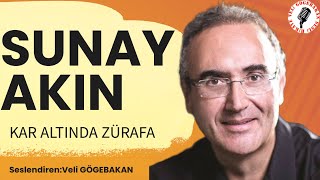 Sunay Akın  Kar altında Zürafa Sesli Hikaye [upl. by Relyuc]