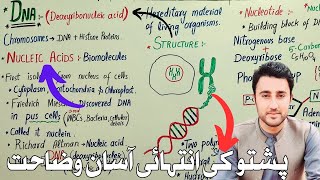 DNA class 8  Lec 5  Structure of DNA  Nucleotide  Nucleotide  Gene [upl. by Ellevehc]