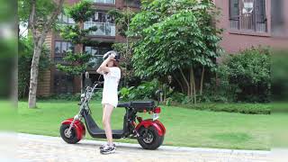 Big wheel electric scooter EEC COC VIN serial number license [upl. by Carrnan179]