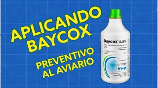 PARTE1APLICANDO PRIMERA DOSIS DE BAYCOX TRATAMIENTO COMPLETO [upl. by Stretch]