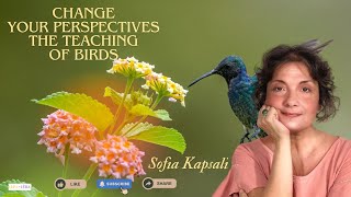 Change your perspectives  The teaching of birds [upl. by Popelka]