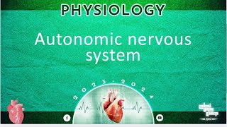 L4  Autonomic nervous system  physiology [upl. by Animlehliw]