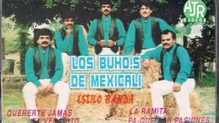 LOS BUHOS DE MEXICALIpalillos chinoswmv [upl. by Troc966]