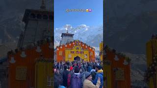 Kedarnath mein Bhole Baba ke darshan kedarnath shorts youtubeshorts [upl. by Merceer349]