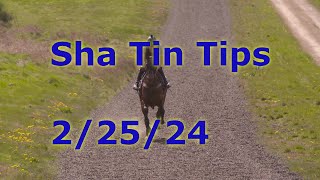 🏇Hong Kong Horse Racing Tips 2252024  Sha Tin [upl. by Newfeld]