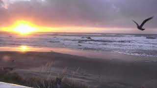 LIVE Oregon Coast 55mph winds [upl. by Jackelyn]