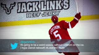 20112012 NHL Recap With NHL Social [upl. by Acinnej]