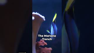 Deepest Point on Earth Exploring the Mariana Trench [upl. by Ellord]