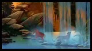 Il Divo amp Celine Dion  I Believe In You scenes from The Lion King [upl. by Anival]