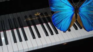 Ophidian  Butterfly  Piano Version [upl. by Nylarej242]