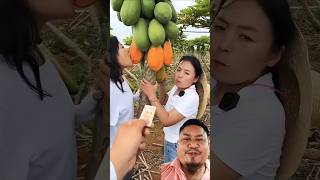 Organic papaya kha Raha Hain short fruit unit neutral 🤪 skin health fruit youtshort viral video [upl. by Tace]