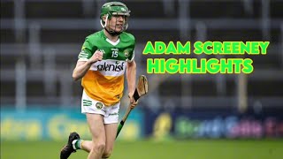 Adam Screeney Offaly Highlights [upl. by Enilegnave]