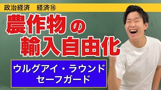 政治経済〜経済⑯〜農作物の輸入自由化【ウルグアイ・ラウンド・セーフガード・ポスト・ハーベスト】 [upl. by Sollie]