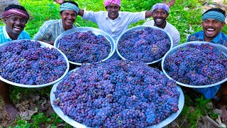 GRAPE JUICE  100 KG Grapes  Natural Pure Healthy Fruit Juice Making In Village  Juice Recipe [upl. by Melisande23]