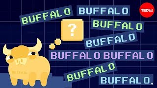 Buffalo buffalo buffalo Oneword sentences and how they work  Emma Bryce [upl. by Dasteel]