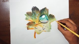 Drawing Water drops on a leaf  Prismacolor pencils [upl. by Paschasia]