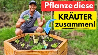 JEDER spricht darüber🌿So pflanzt du das ULTIMATIVE Kräuterbeet für Balkon amp Garten [upl. by Nihhi]