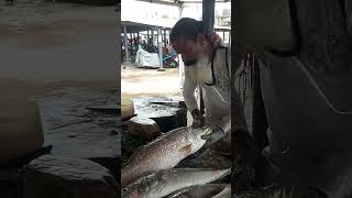 FISH PEELING SKILLS fishcuttingskillssrilankashorts [upl. by Bagger]