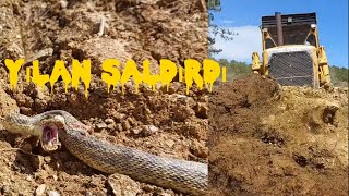 CAT D7 DOZER YOL YAPIMIYILAN SALDIRISIDOZER ROAD CONSTRUCTIONSNAKE ATTACK keşfet cat buldozer [upl. by Aleiram]