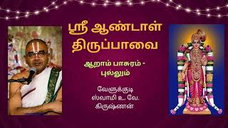 ஸ்ரீ ஆண்டாள் திருப்பாவை உபன்யாசம்  ஆறாம் பாசுரம் புல்லும்  Part 4 Swamy Velukkudi Krishnan [upl. by Arted]