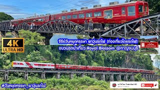 รถไฟไทยTrainthaiHD  ขบวนรถนำเที่ยว Royal Blossom กาญจนบุรี 4K 60Fps [upl. by Ttekcirc]