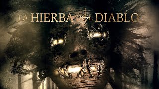 quotLA HIERBA DEL DIABLOquot  TRAILER OFICIAL [upl. by Gnurt]