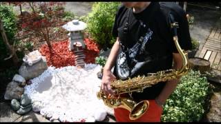 Oblivion played with a Hohner President tenor saxophone by maserer [upl. by Marv331]