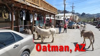 Oatman Arizona by Old Highway 66 [upl. by Asereht]